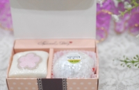����6ȣ (20�������֡�