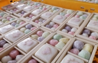 ��ʶ� ���ϴ� ��������